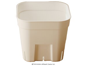 vXe ʏ^  105 Xbgv 10Zbg A  GPxA