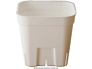 vXe ʏ^  90 Xbgv 10Zbg v^[ A  GPxA