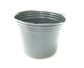 楽天市場 ポリポット サイズの通販