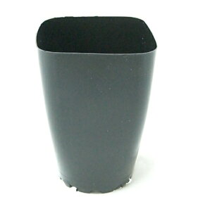 ||bg d p^ 8cm  [ 100 |bg R쑐 Aؔ  m ኄ R쑐  ܂Ƃߔ ||bh A | 򉀌|