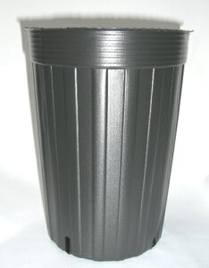 �|���|�b�g�������O18cm 10��