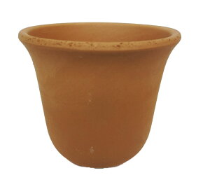 fĂ@KۃGr˔@3.5@CNޗ