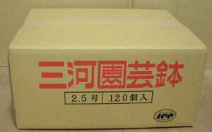 m@fĂ@2.5@120@yz Aؔ@@@@ @|