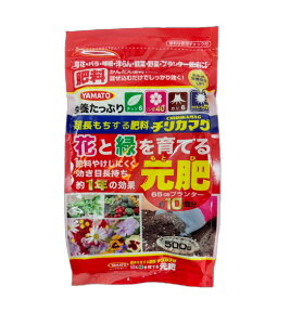 ԂƗ΂Ă錳@500g@`J}O@엿 6-40-6-17@o m  GPxA@/@lR|X։