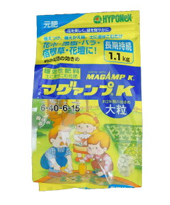 }OAvK 嗱 1.1kg 엿  Ԍ 6-40-6-15