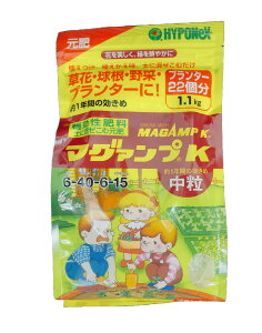 }OAvK  1.1kg 엿  nC|lbNX }OAv k    Ԍ 6-40-6-15 Aւ At }O@vk 1.1 }O@vK