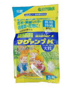 }OAvK 嗱 500g 엿  Ԍ 6-40-6-15