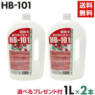HB-101 2L（1Lx2本） 天然活力剤 HB101 【送料無料・代引手数料無料】 【プレゼント付】