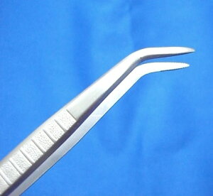 XeX sZbg Idグ  |p ~ m xM / lR|X։