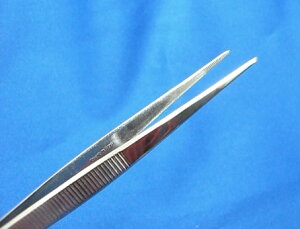 XeX sZbg  wt |p ~ m xM / lR|X։