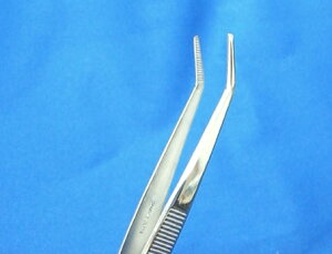 XeX sZbg  wt |p ~ m xM / lR|X։