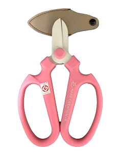 ⌹ nhNG[V ×^Cv sNiFj@ F-170@nیLbvt@/lR|X