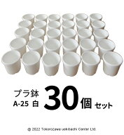 プラ鉢 A-25 白（オリジナルホワイト） 30個セット プラスチック鉢 プラスチック植木鉢 プランター 多肉 …