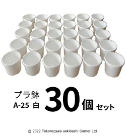 楽天市場】リストンテープ 玉巻 黒色 400M 石本マオラン 菊資材 : 所沢 