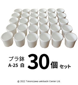 プラ鉢 A-25 白（オリジナルホワイト） 30個セット プランター 多肉植物 エケベリア 鉢 植木鉢 プラスチック まとめ買い