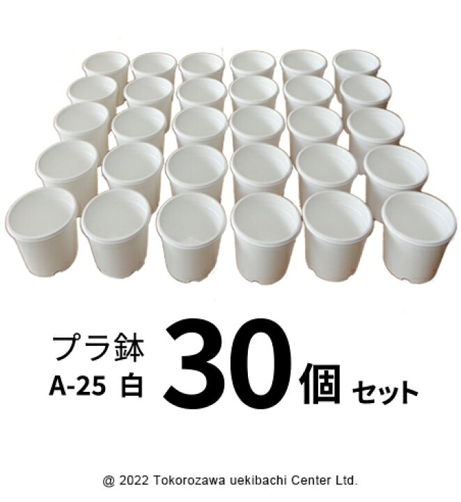 楽天市場】プラ鉢 A-25 白（オリジナルホワイト） 30個セット 