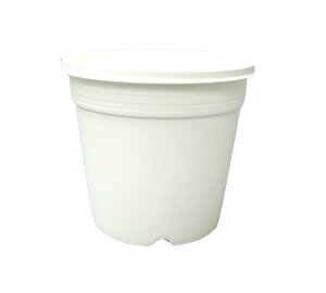 v A-25 iIWizCgj 30Zbg v^[ A GPxA  Aؔ vX`bN ܂Ƃߔ