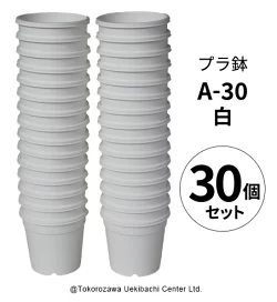 楽天市場】プラ鉢 A-30 白（オリジナルホワイト） 30個セット 