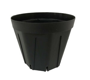 Xbg@v@9cm@3@@1080@yz