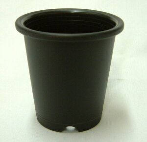 v 7.5cm 280Zbg P-25 E`E A T{e Aؔ vX`bN v^[