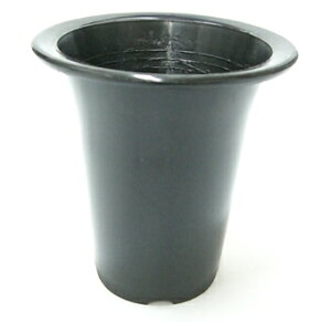 mv 5.5 1@ v 16.5cm KN c [ Aؔ@@o@΂@KN