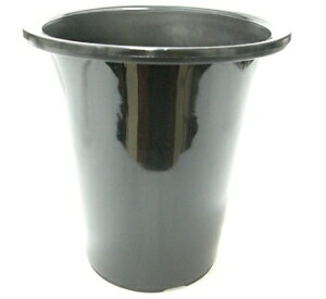 mv 7.0 10  v 21cm ƒ؉ v^[ KN c [ Aؔ  o ΂ KN