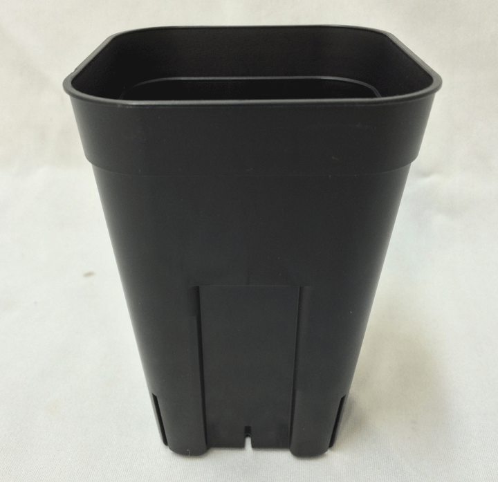 楽天市場】プレステラ深鉢 黒（ブラック） 90 スリット入りプラ鉢 100