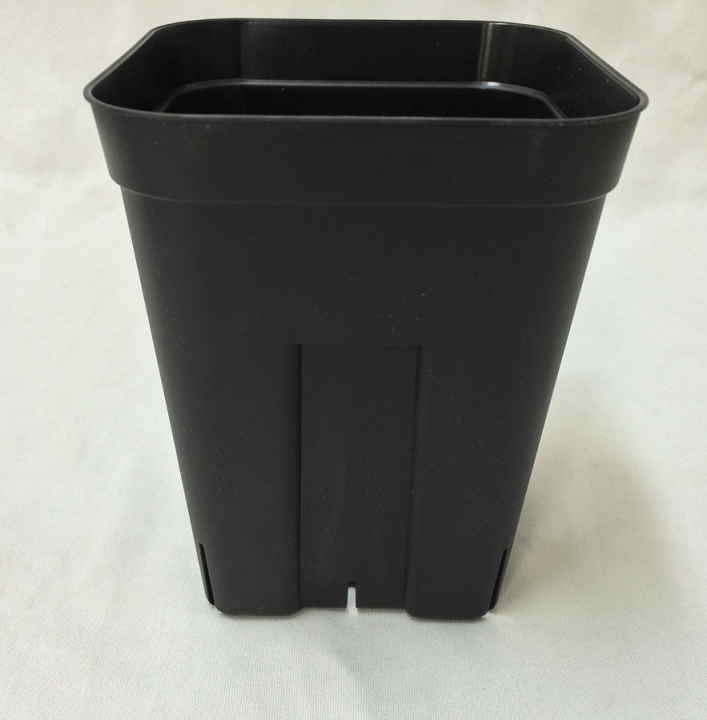 02 確認用　プレステラ120サイズ 02 確認用 プレステラ120サイズ システムトレー 15穴 角型