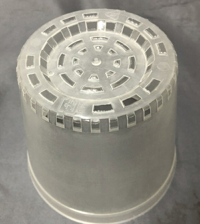 楽天市場】半透明 プラ鉢 12cm 10個 プランター : 所沢植木鉢