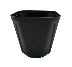 Xbg@v@9cm p^@KP-90@ 3@100Zbg