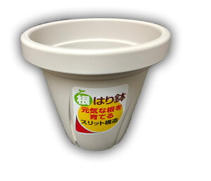 ͂蔫@@3@25@Xbg\@v