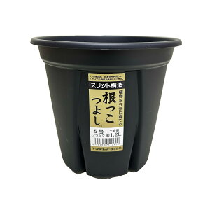 悵@5@iubN)@Xbgv@AbvEGA[