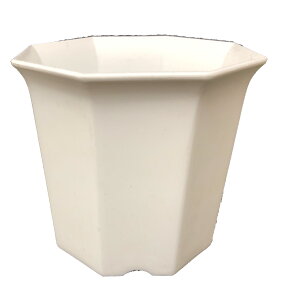 Vg  2.5 p^ 8p 10Zbg  T{e v Aؔ vX`bN v^[