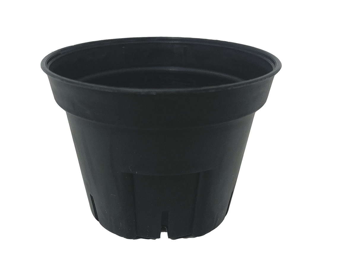 Sポット 黒（ブラック） 6cm スリット鉢 プラ鉢 10個セット 多肉 植木鉢 プラスチック プランター