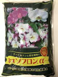 mo[N 12l o[N lI\tAt@ yo[N MTCY |p |{y y m m m |pi mo[N mo[N m̓y | K[fjO K[fjOp