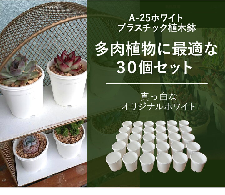楽天市場】プラ鉢 A-25 白（オリジナルホワイト） 30個セット 