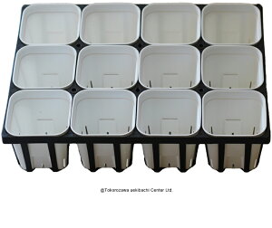 vXe ʏ^  90^ 12Zbg+pn[tg[tg[Zbg A  GPxA