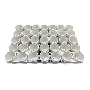 v@A-25@izCgj35Zbg + pg[PMT-35 izCgjt@g[Zbg A  GPxA