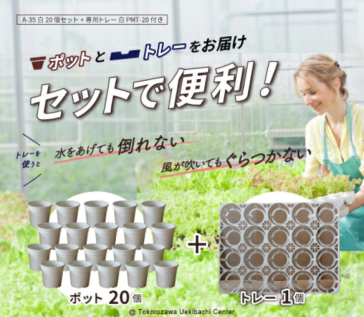 楽天市場】A-35 白 20個セット + 専用トレー 白 PMT-20 付き トレー 