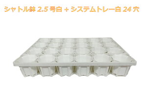 Vg@2.5@izCgj24@+@pg[@VXeg[90CS@Zbg@g[Zbg A  GPxA