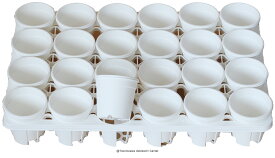 プラ鉢　A-30　白（ホワイト）24個セット + 専用トレーPMT-24 白（ホワイト）付き　トレーセット 多肉植物 鉢 エケベリア