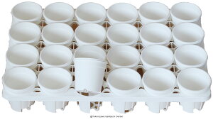 v@A-30@izCgj24Zbg + pg[PMT-24 izCgjt@g[Zbg A  GPxA