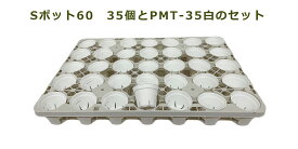 Sポット60　白　35個セット + 専用トレー　PMT-35白（ホワイト）　付き　トレーセット 多肉植物 鉢 エケベリア