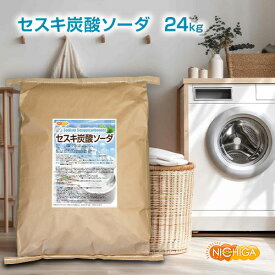 セスキ炭酸ソーダ 24kg 【送料無料！(北海道・九州・沖縄を除く)・同梱不可】 アルカリ洗浄剤 NICHIGA(ニチガ) TK7
