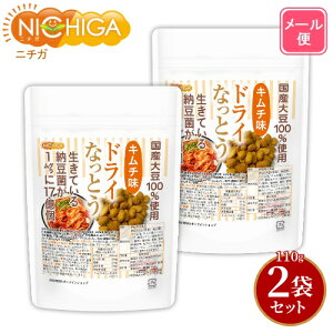 hCȂƂ L` 110g×2 yzy[ւŗXփ|Xgɂ͂zyszyԎwsz Y哤100gp DRY NATTO Ă[17 ibgELi[[