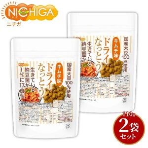 hCȂƂ L` 110g×2 Y哤100gp DRY NATTO Ă[17 ibgELi[[ܗL [02] NICHIGA(j`K) ቷtCꐻ@