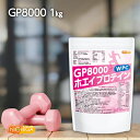 GP8000 ホエイプロテイン 1kg【送料無料】 無添加 ナチュラル NICHIGA(ニチガ) TK0