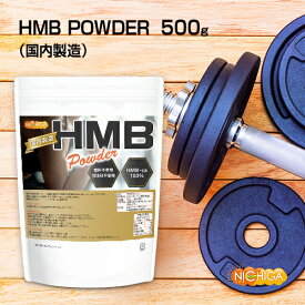 HMB POWDER（国内製造） 500g 香料不使用 甘味料不使用 HMB-ca 100％ ノンフレーバー [02] NICHIGA(ニチガ)