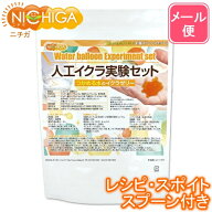 人工いくら実験セット 【送料無料】【メール便で郵便ポストにお届け】【代引不可】【時間指定不可】 イク…