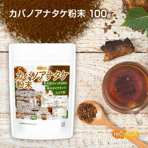 JomAi^P  100g `[K LmR X̃_Ch VAY100 [02] NICHIGA(j`K)